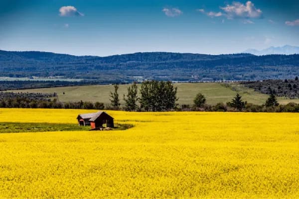Real estate photography service area card for Springbank luxury homes and acreages